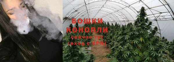 МДПВ Вязьма