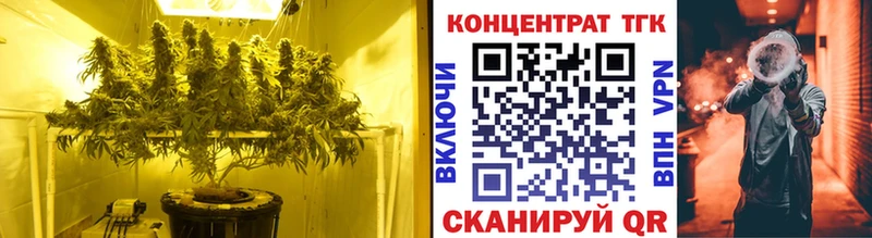 Купить  Болотное  ТГК Wax 