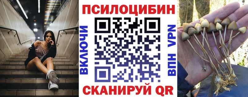 Купить закладки  Болотное  Псилоцибиновые грибы Psilocybe 